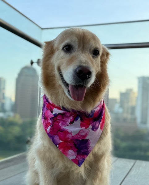 MAGICAL Dog Bandana