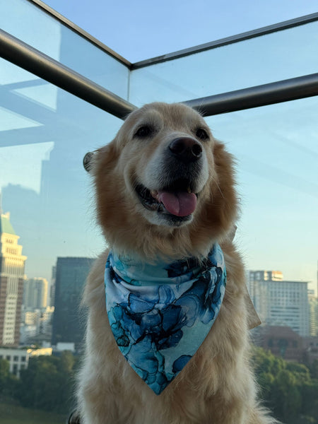 MAGICAL Dog Bandana