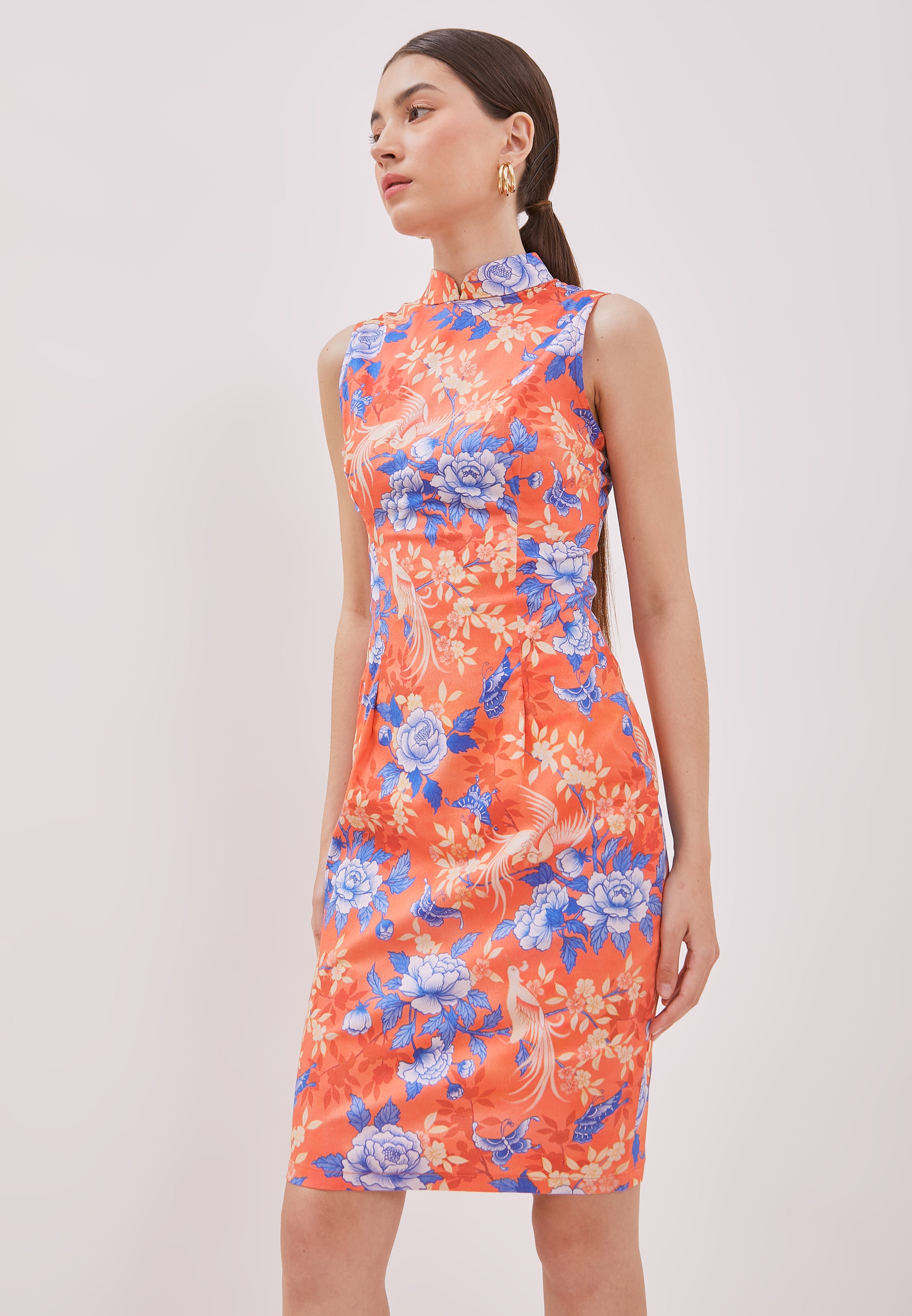 BIRDS & BUTTERFLY Cheongsam Dress